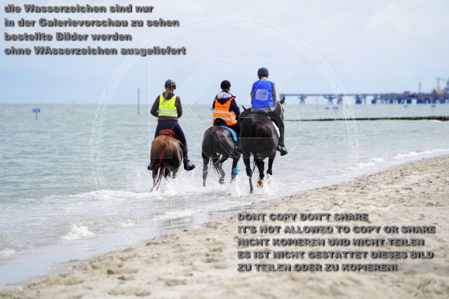s_K3F05110.JPG